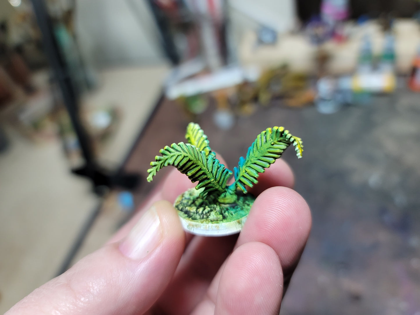 Plank Fern