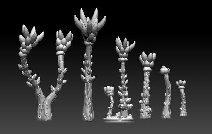 Candle Palm