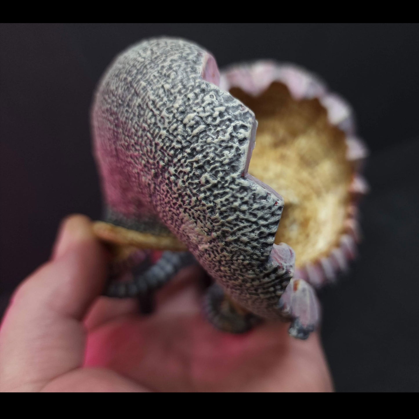 Clam Blossom