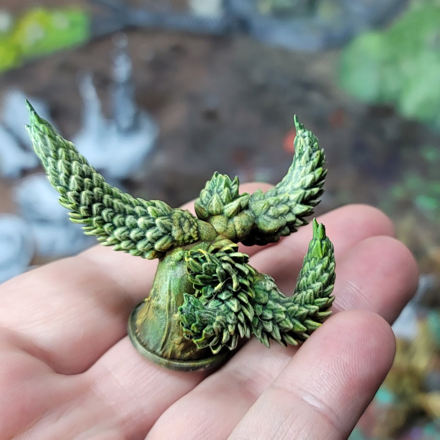 Armadillo Cactus