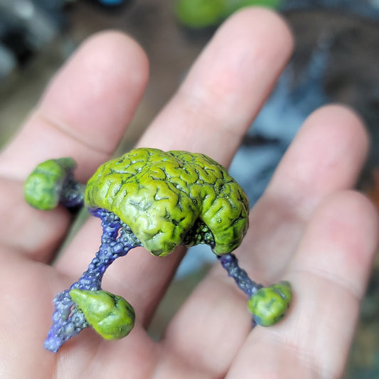 Brain Bush