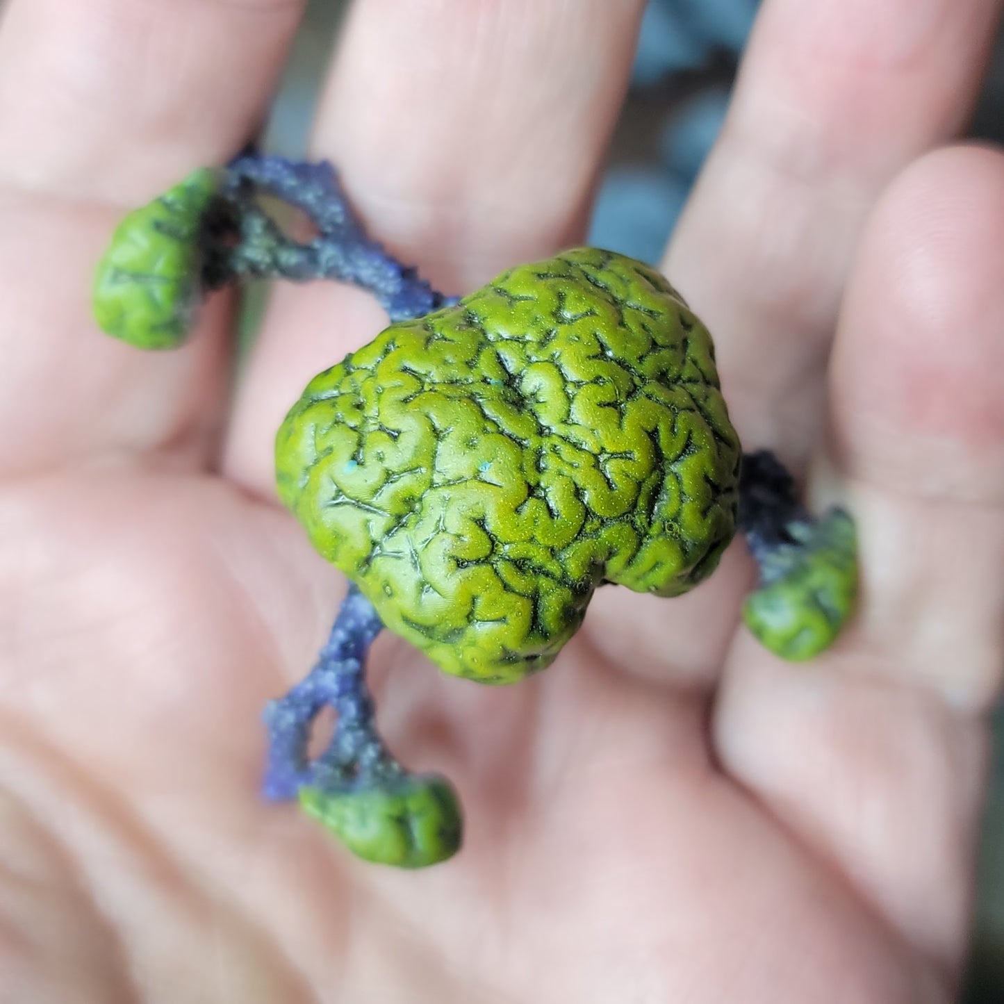 Brain Bush