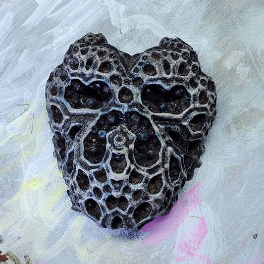 Brain Coral