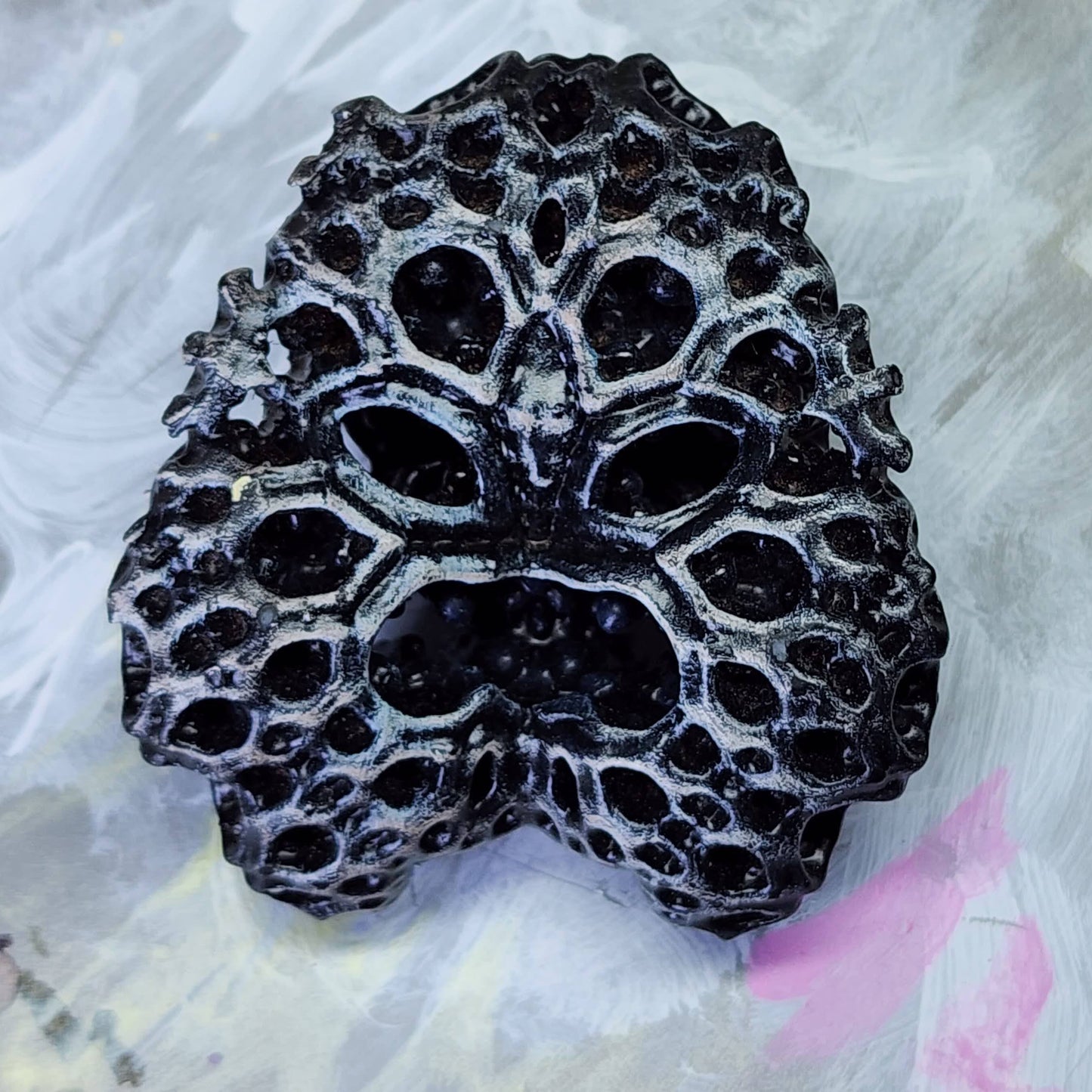 Brain Coral