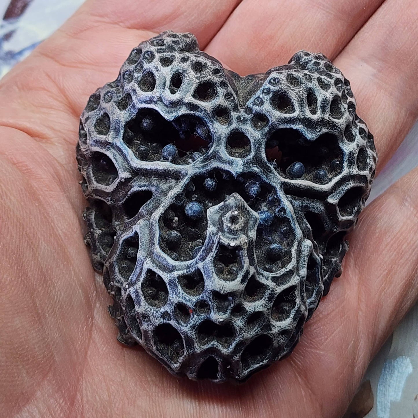Brain Coral