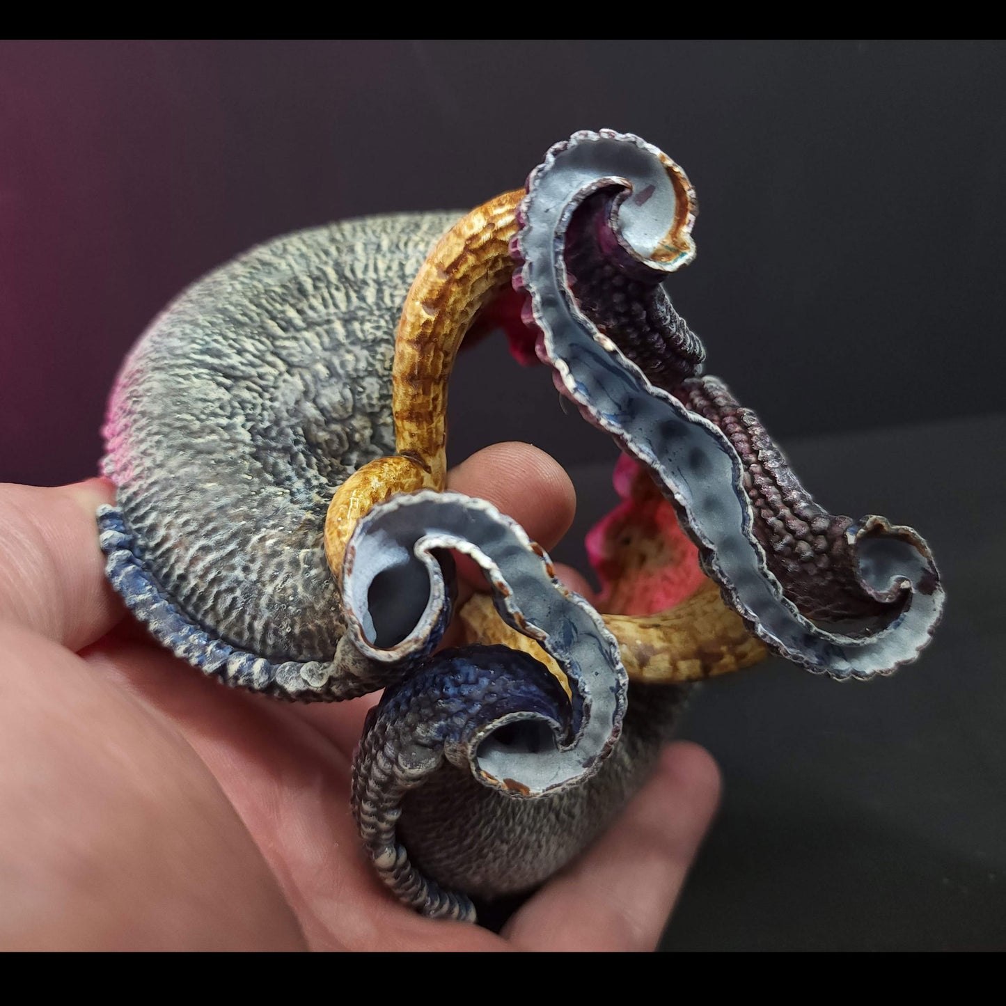 Clam Blossom
