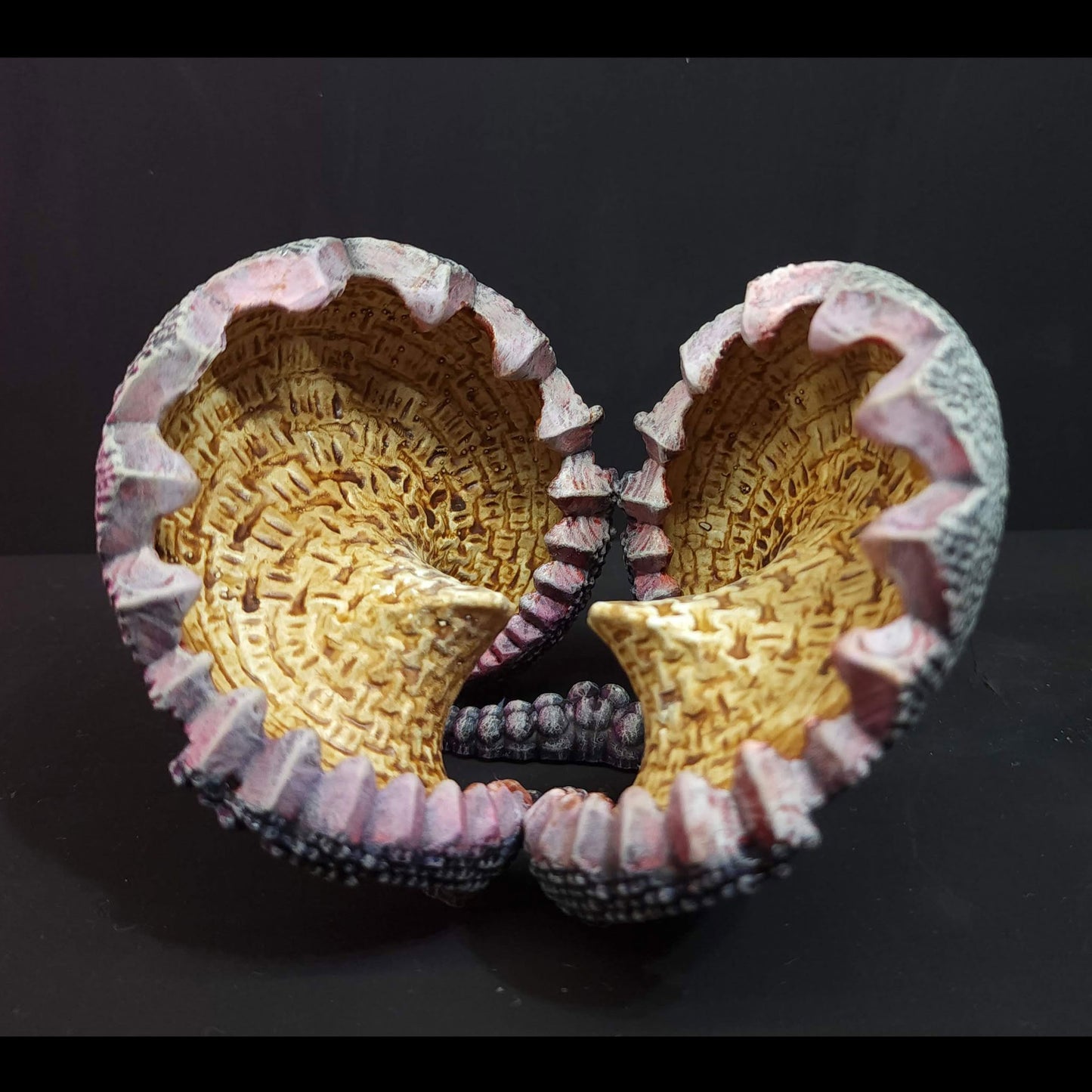 Clam Blossom