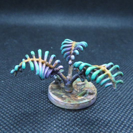 Spin Fern