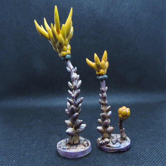 Candle Palm