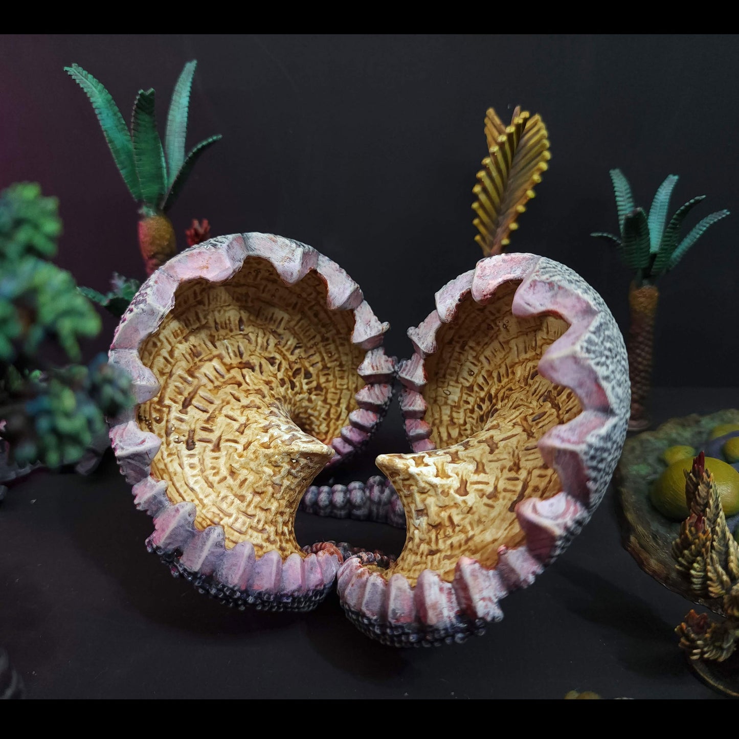 Clam Blossom