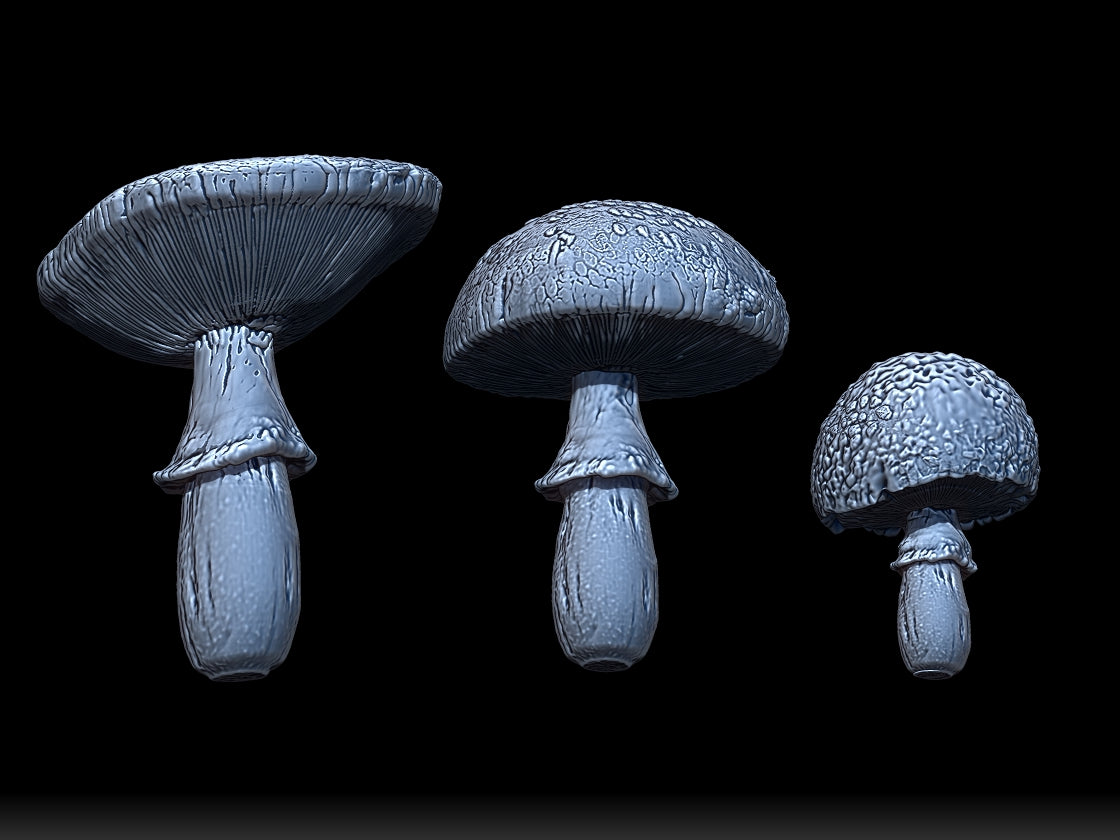 Mini Mushrooms - Amanita, Chanterelle, and Cremini