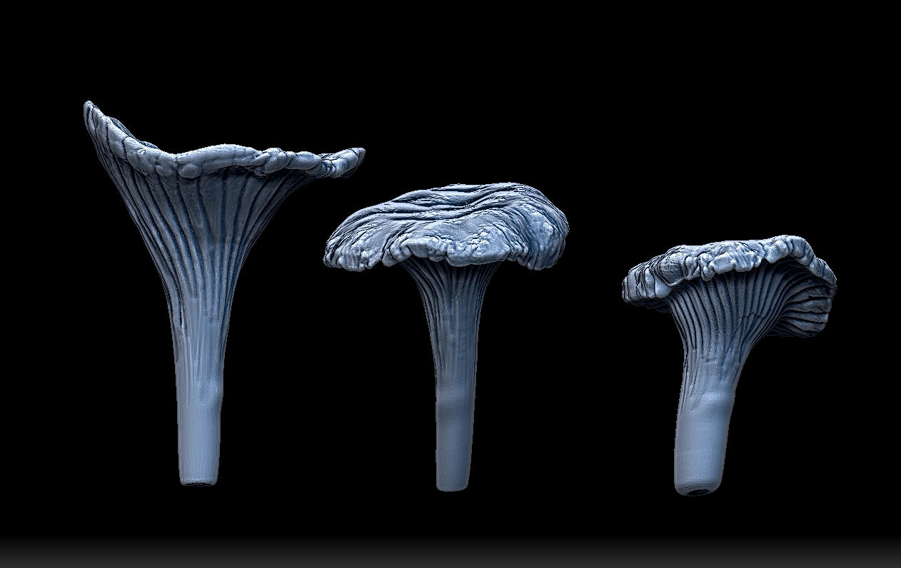 Mini Mushrooms - Amanita, Chanterelle, and Cremini