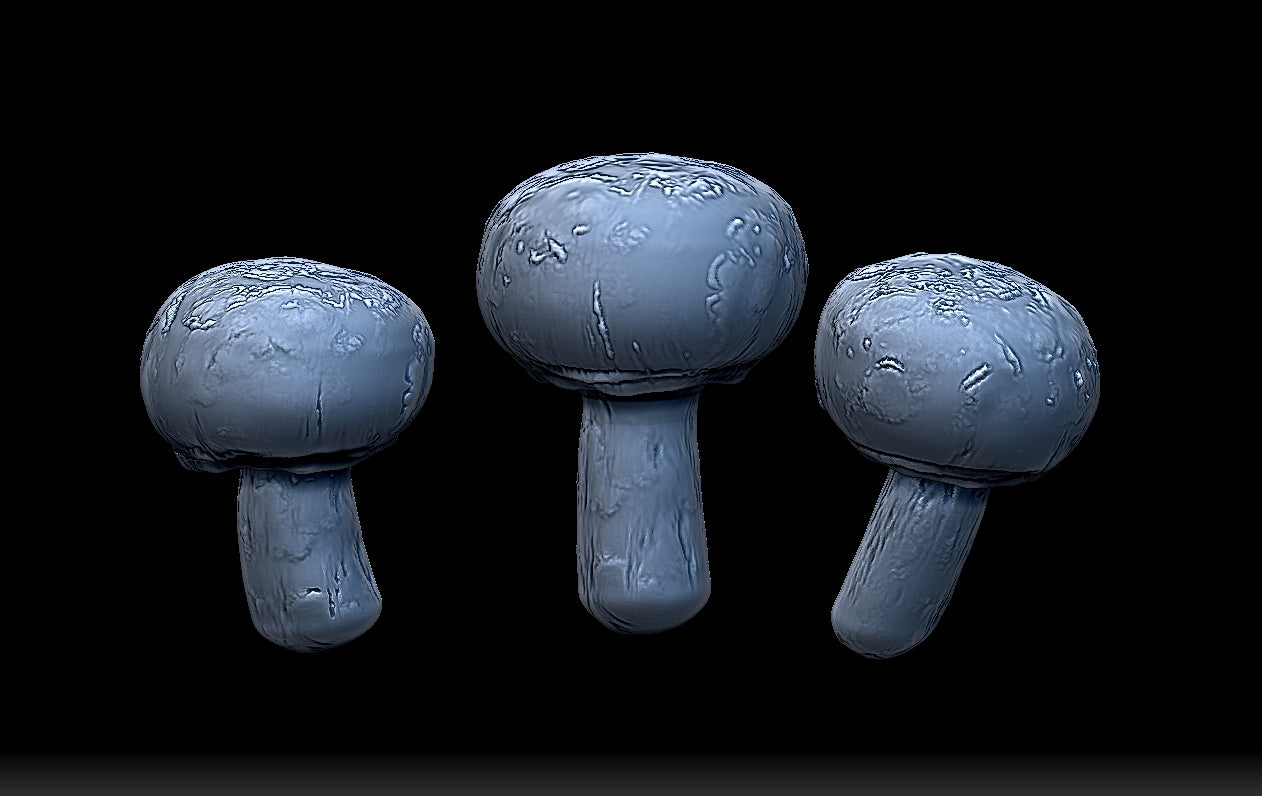 Mini Mushrooms - Amanita, Chanterelle, and Cremini