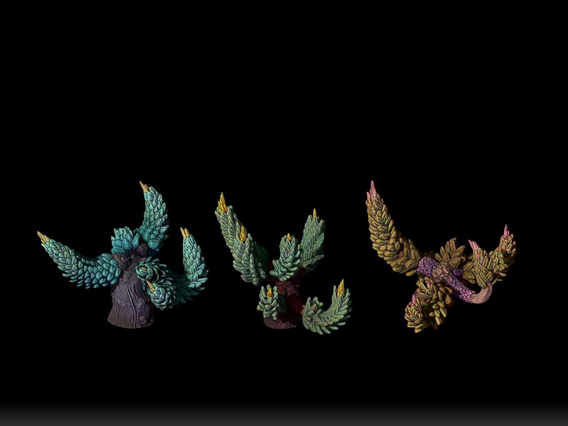 Armadillo Cactus