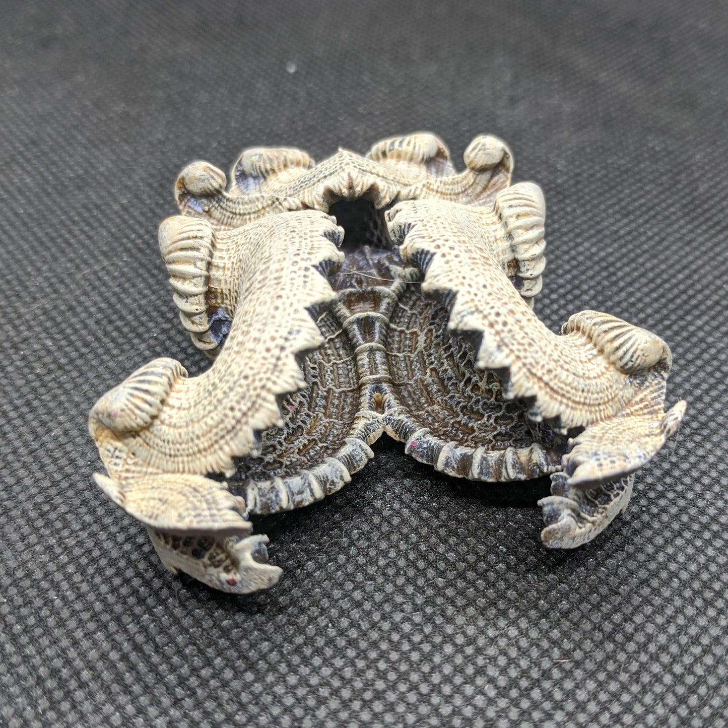 Alien fossil 3 Pack