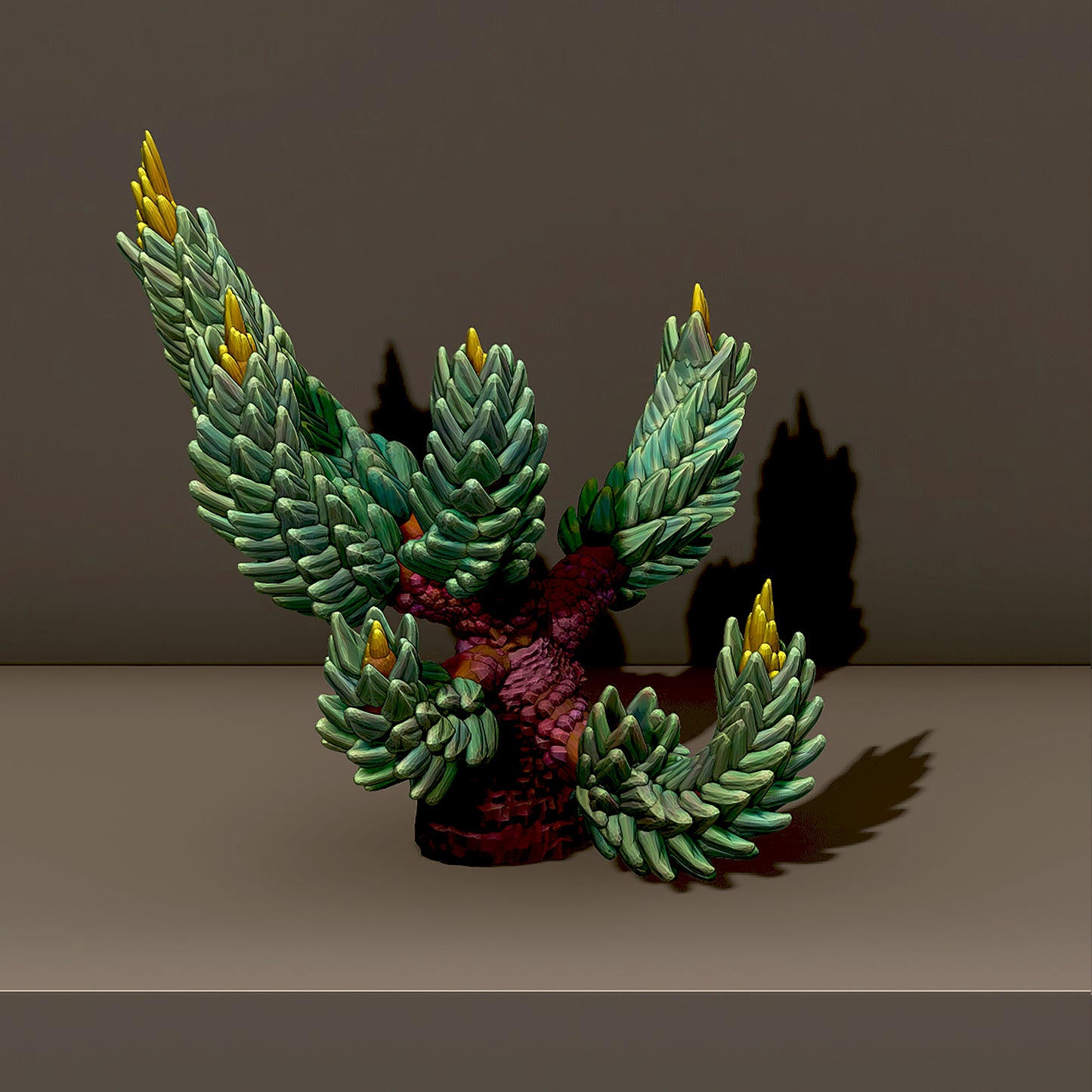 Armadillo Cactus