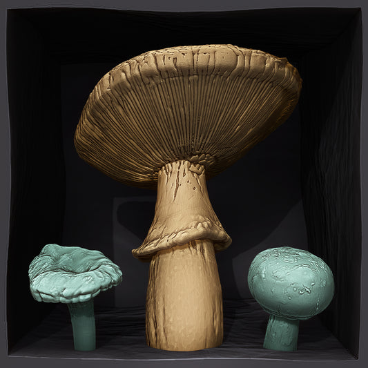 Mini Mushrooms - Amanita, Chanterelle, and Cremini