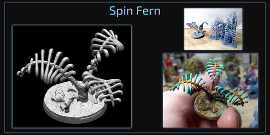 Spin Fern