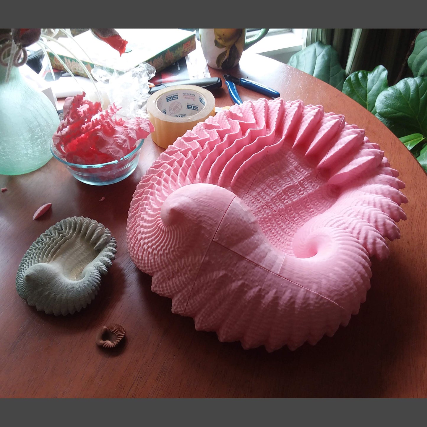 Feather Shell