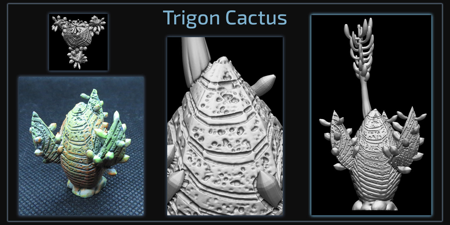 Trigon Cactus