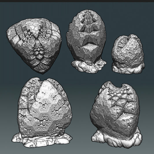 Jag Pods