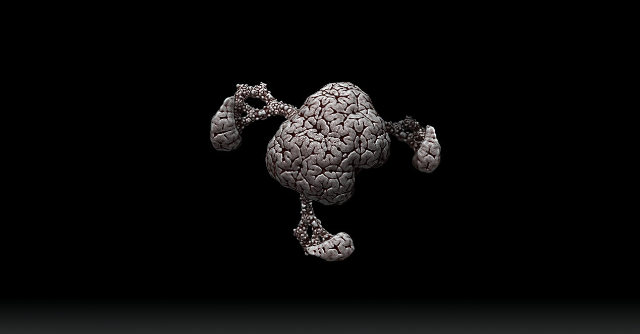 Brain Bush