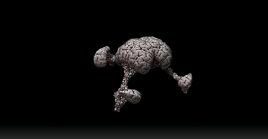 Brain Bush