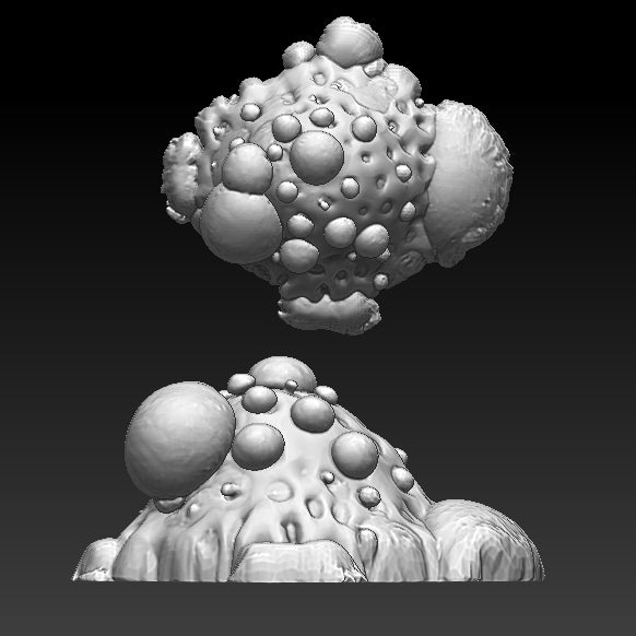 Bulbous Oozes
